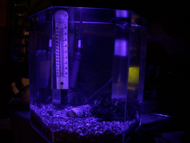 DSCN6587.JPG