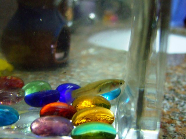DSCF0496.jpg