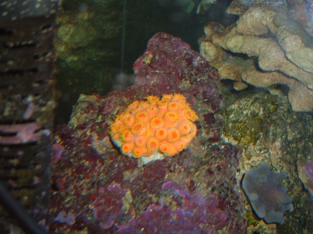 Picture 004.jpg