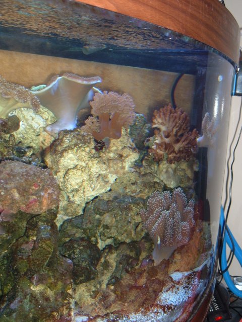 Picture 007.jpg