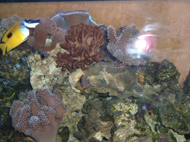 Picture 008.jpg