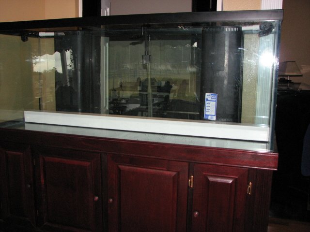 IMG_2153a.jpg IMG_2153a.jpg