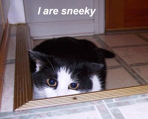 000_6013.JPG