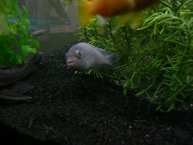 P1000615.JPG