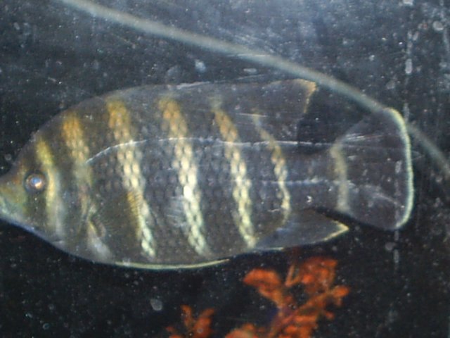 S2010017.JPG