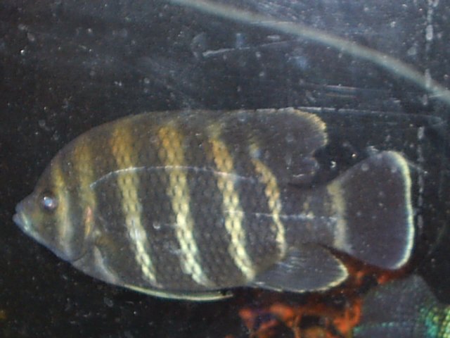 S2010015.JPG