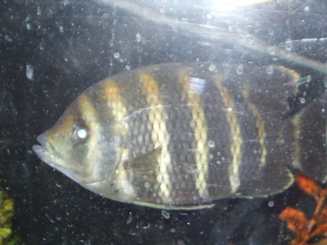 S2010019.JPG