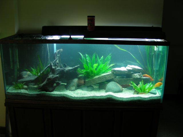 DSCN0591.JPG