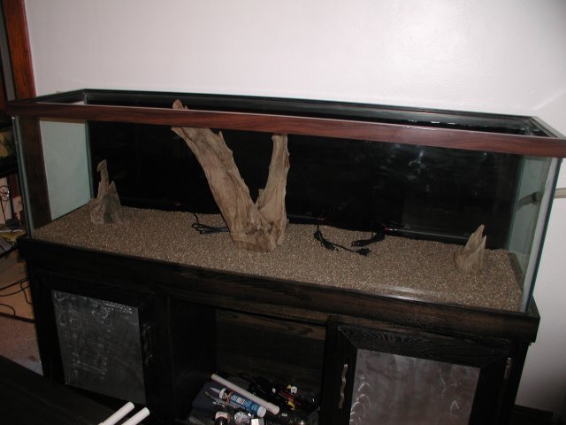 PIC00015.JPG