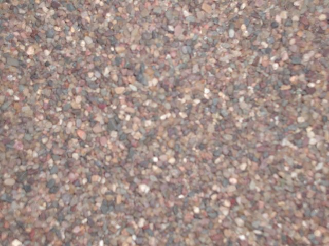 PIC00019.JPG