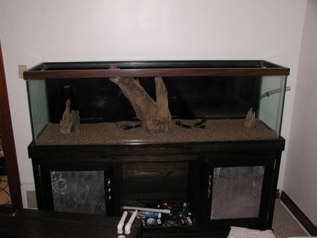 PIC00021.JPG