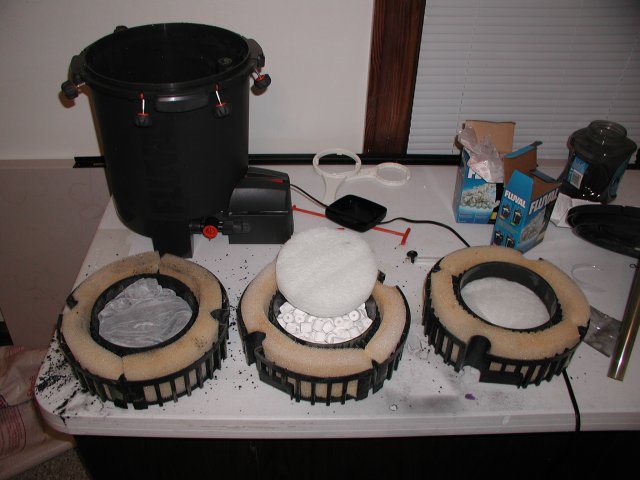PIC00022.JPG