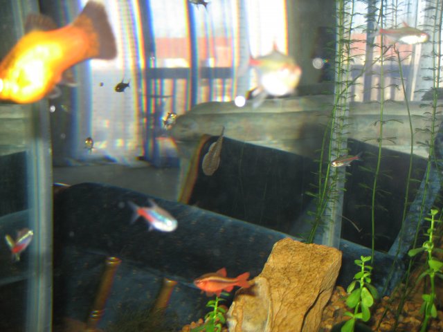 IMG_0288.JPG