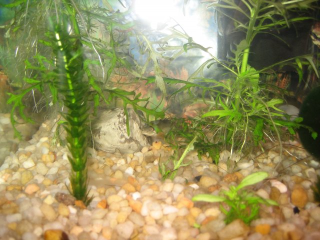 IMG_0301.JPG