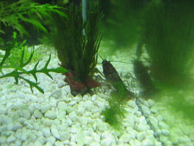 IMG_0289.JPG