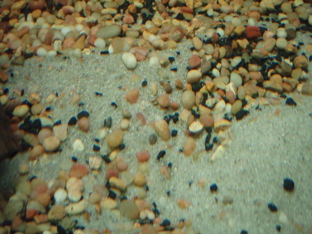 P1010344-2.JPG