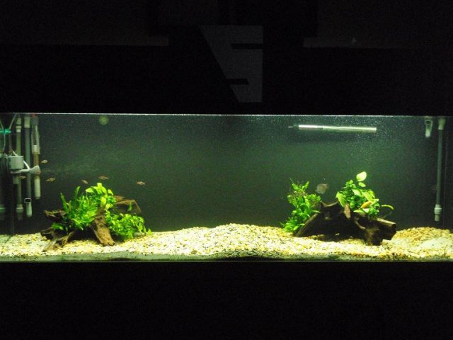 P1010328-2.JPG
