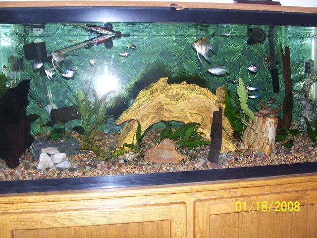 Picture 006.jpg