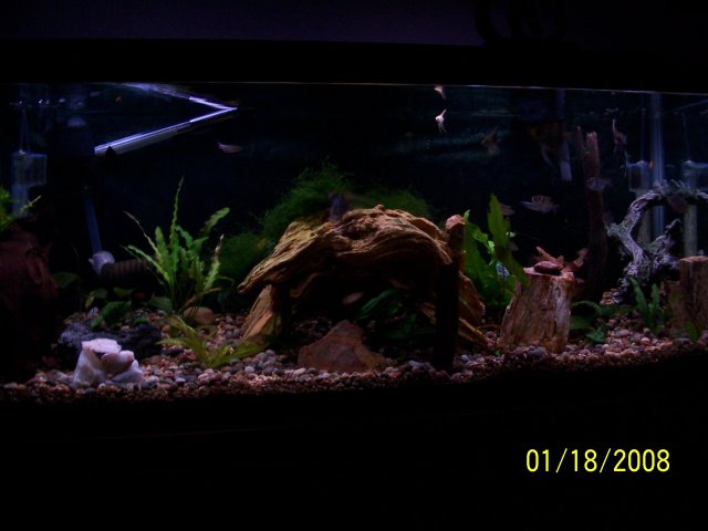 Picture 005.jpg