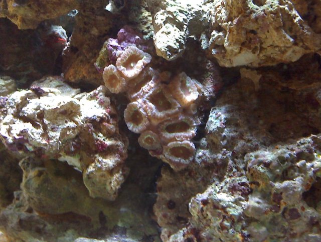 0119081550a.jpg