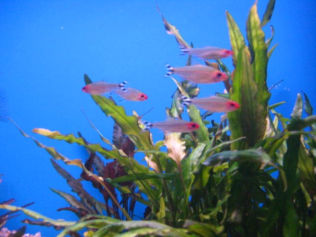 IMG_1225.jpg