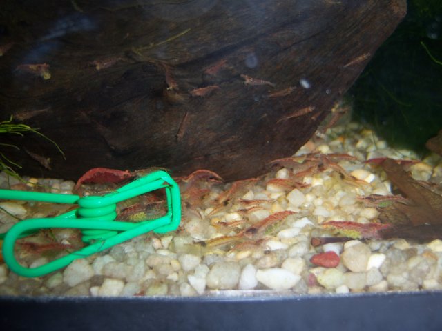 100_4200.jpg