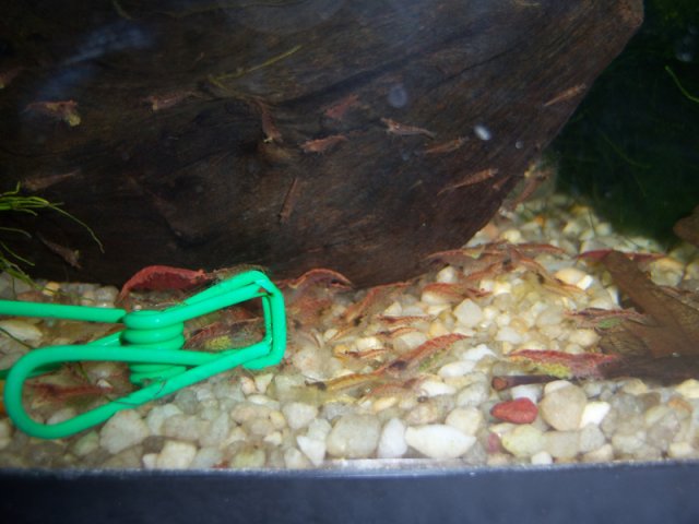 100_4200.jpg