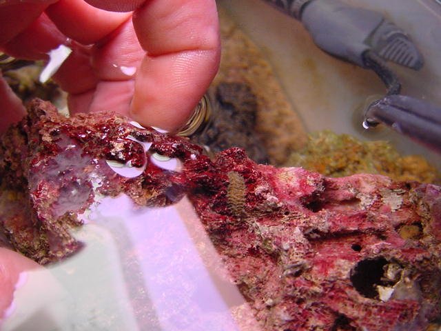 DSC02217.JPG