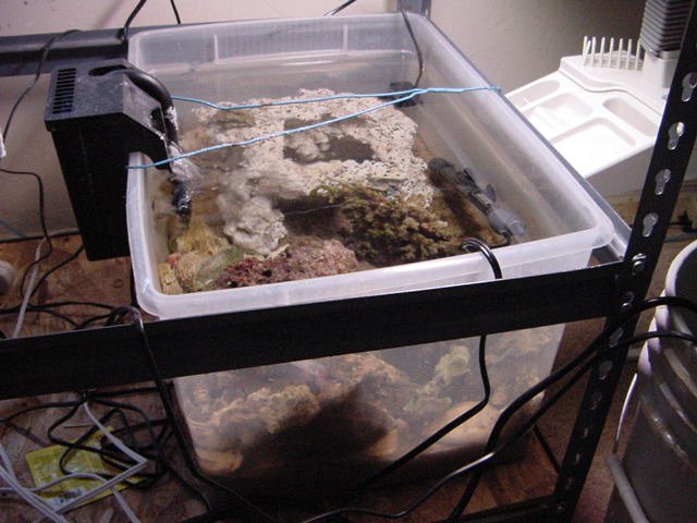 DSC02221.JPG