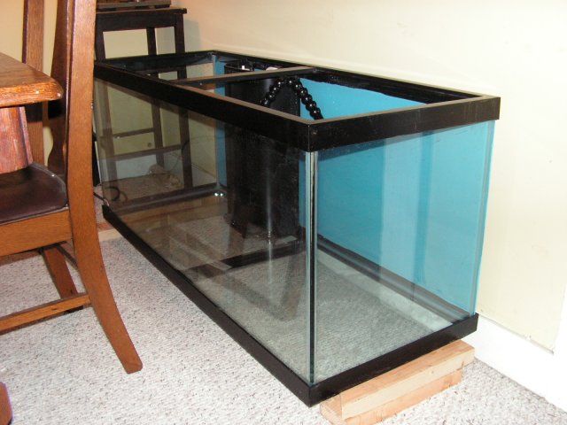 Picture 006.jpg