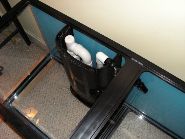 Picture 007.jpg