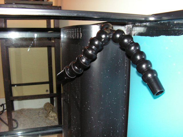 Picture 008.jpg