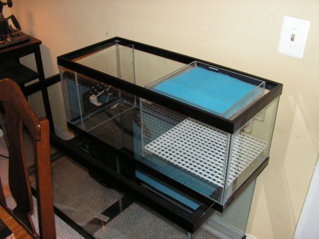 Picture 009.jpg