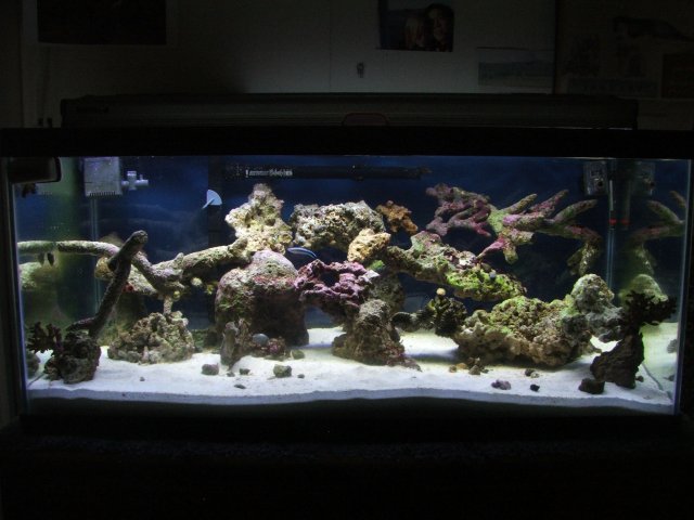 DSCF1222.JPG DSCF1222.JPG