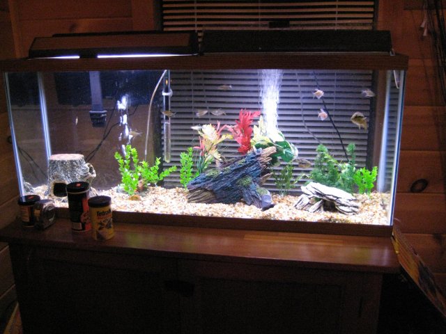 New pics 014.jpg