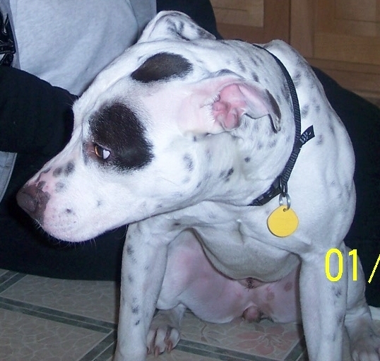 000_6071.JPG