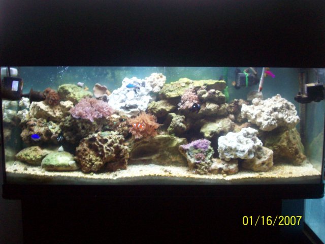 new rocks front.jpg