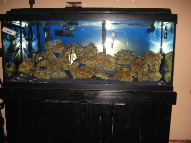Picture 1148.jpg