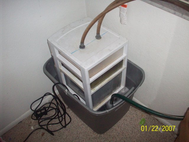 bio tower.jpg