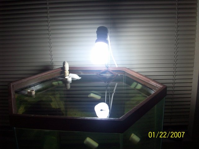 33 light.jpg
