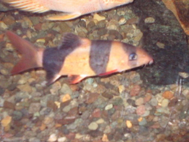 IMG_0473.JPG