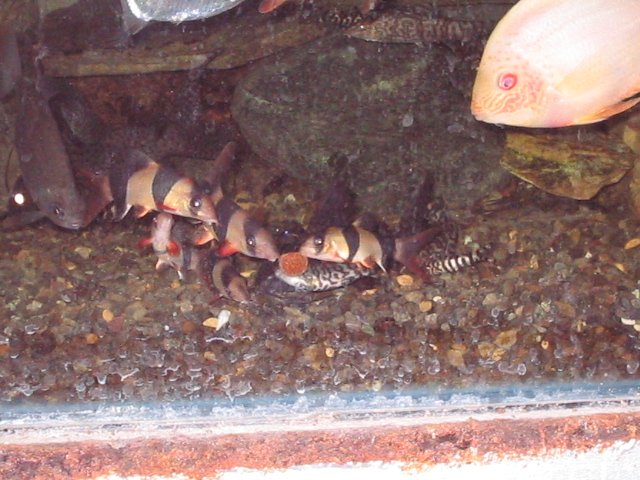 IMG_0480.JPG