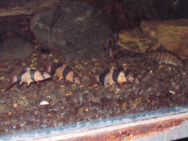 IMG_0492.JPG