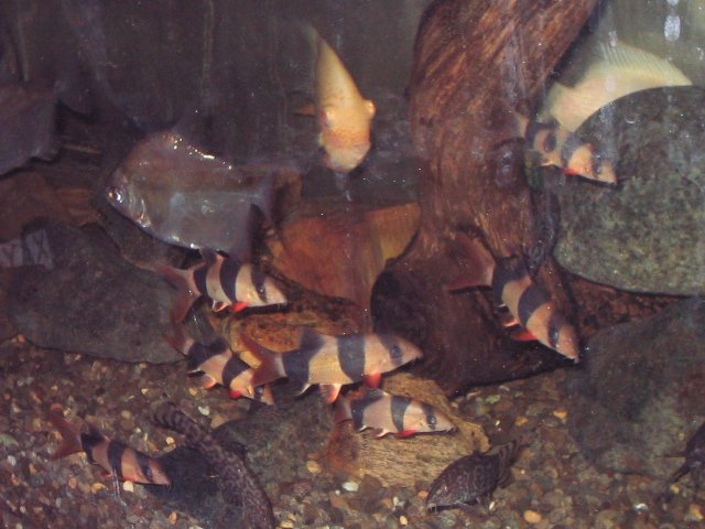 IMG_0495.JPG