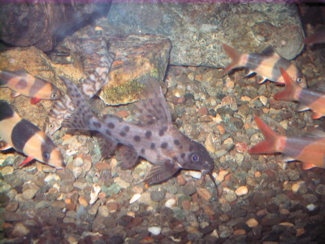 IMG_0467.JPG