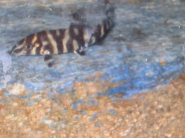 IMG_0489.JPG