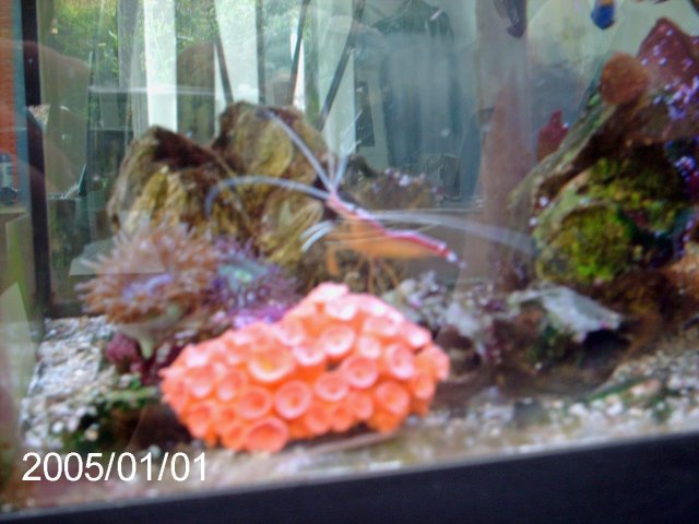 summer 2005 011_edited.jpg