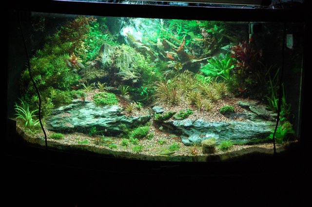 1-25-08 001.JPG