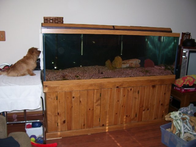 Nelee'sfish.jpg