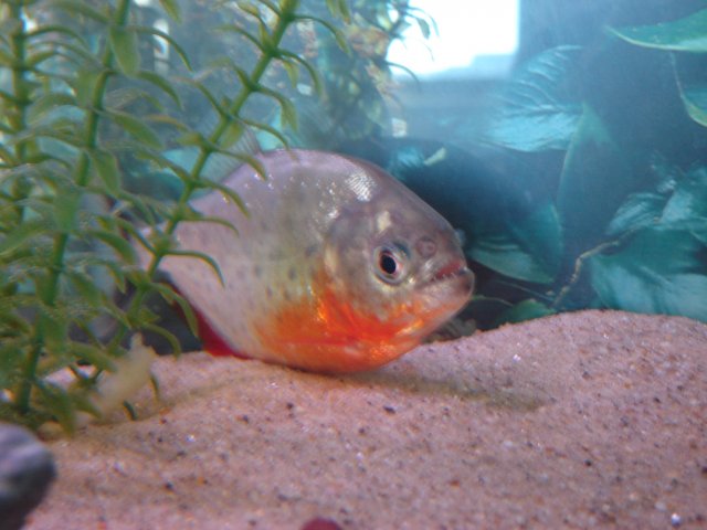 DSC02589.JPG